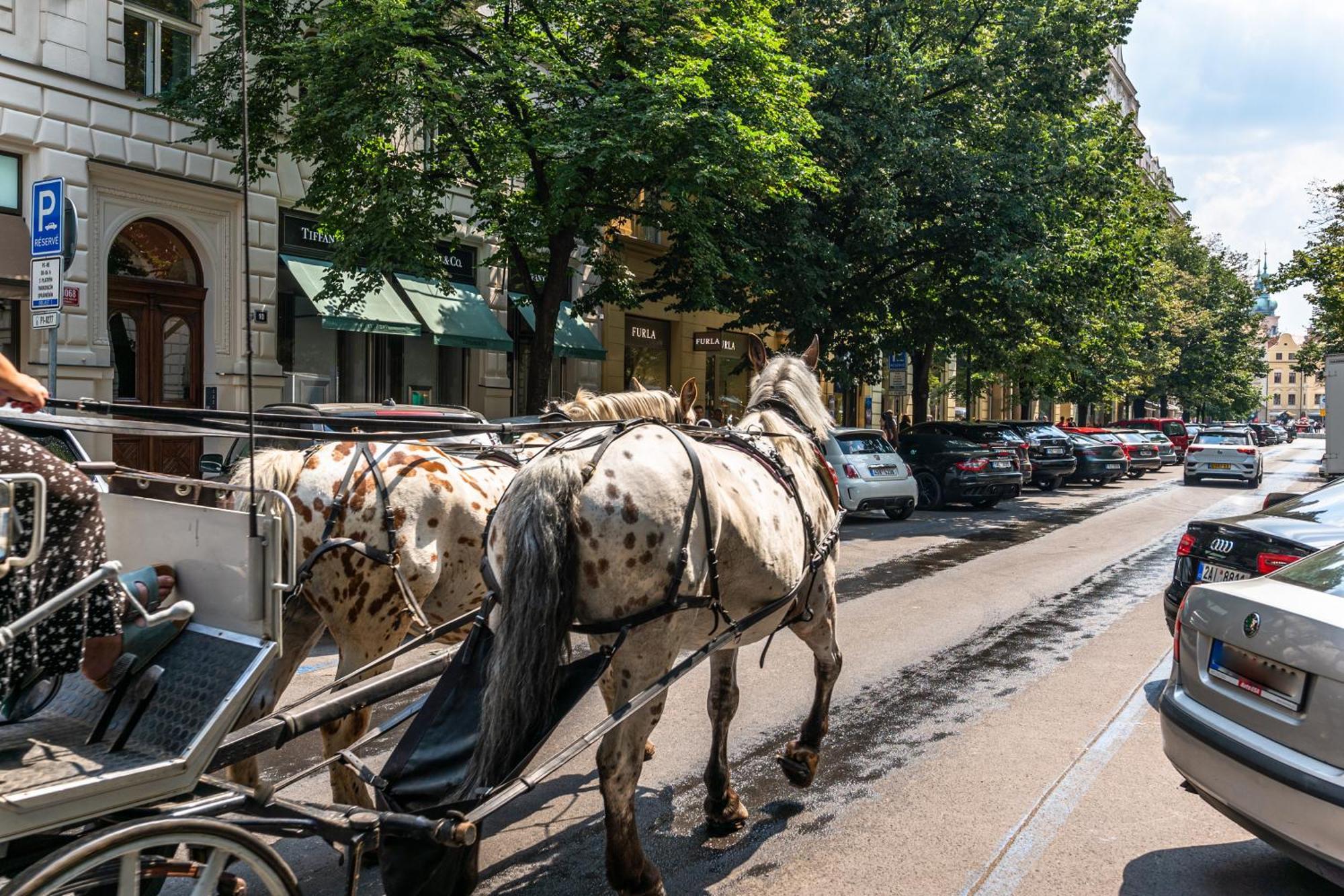 Wishlist Prague Residences - Old Town Dlouha Екстериор снимка